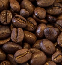 Сальвадор Арабіка